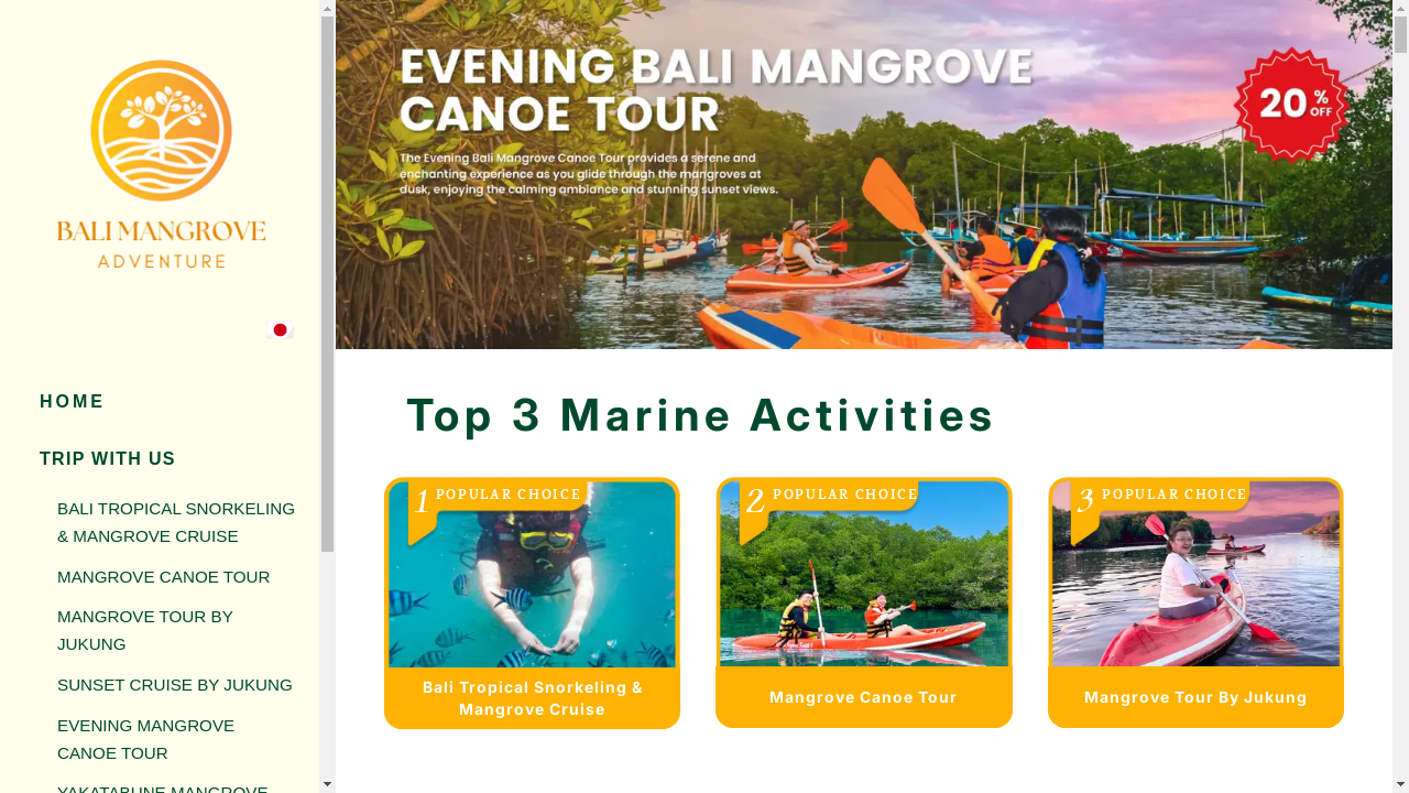 balimangroveadventure.com desktop screenshot b2b webiste scoring