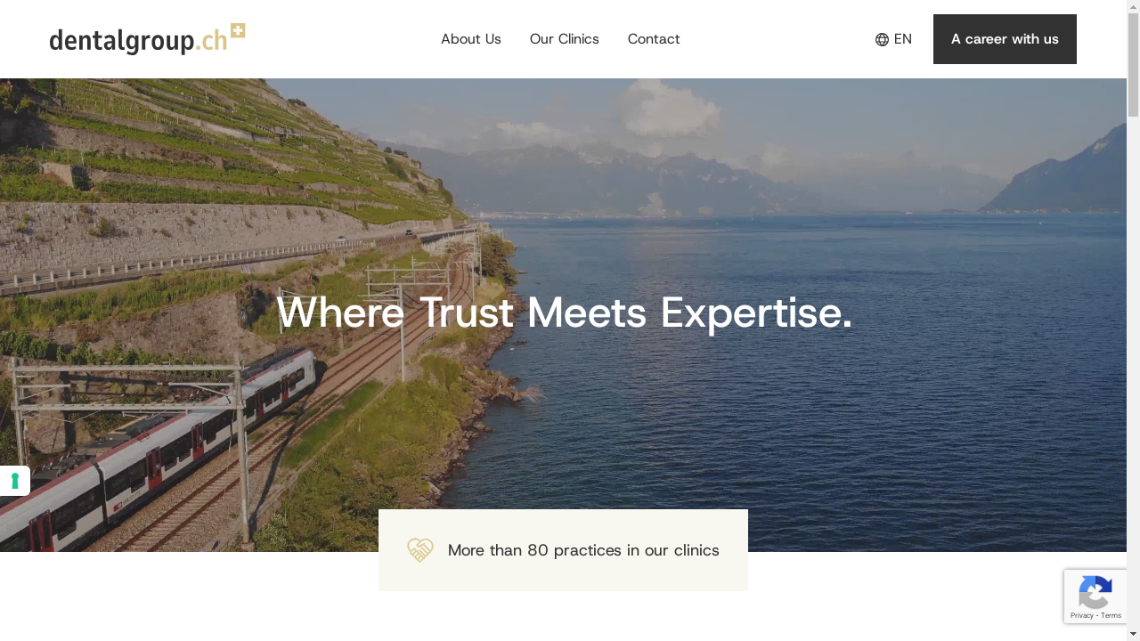 dentalgroup.ch desktop screenshot b2b webiste scoring