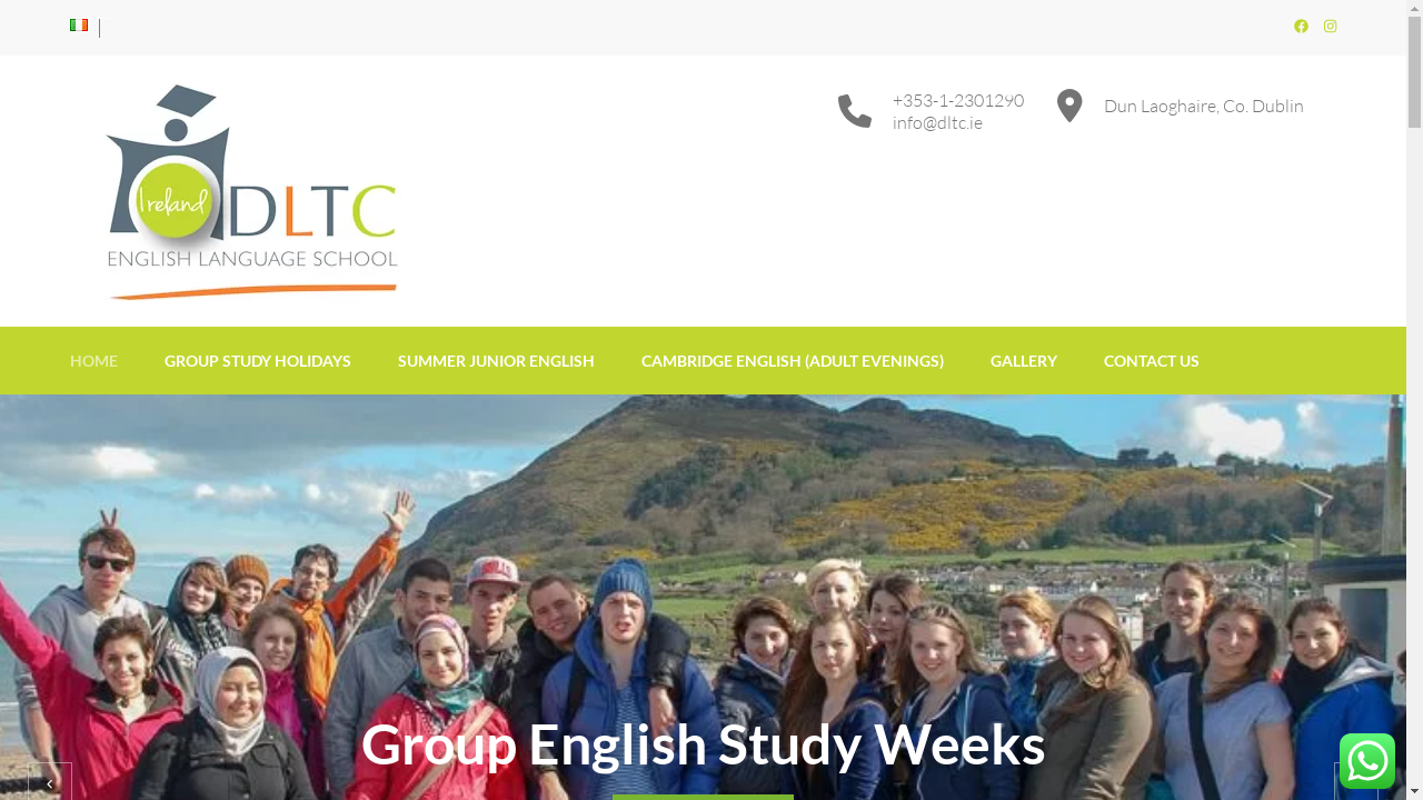 dltc.ie desktop screenshot b2b webiste scoring