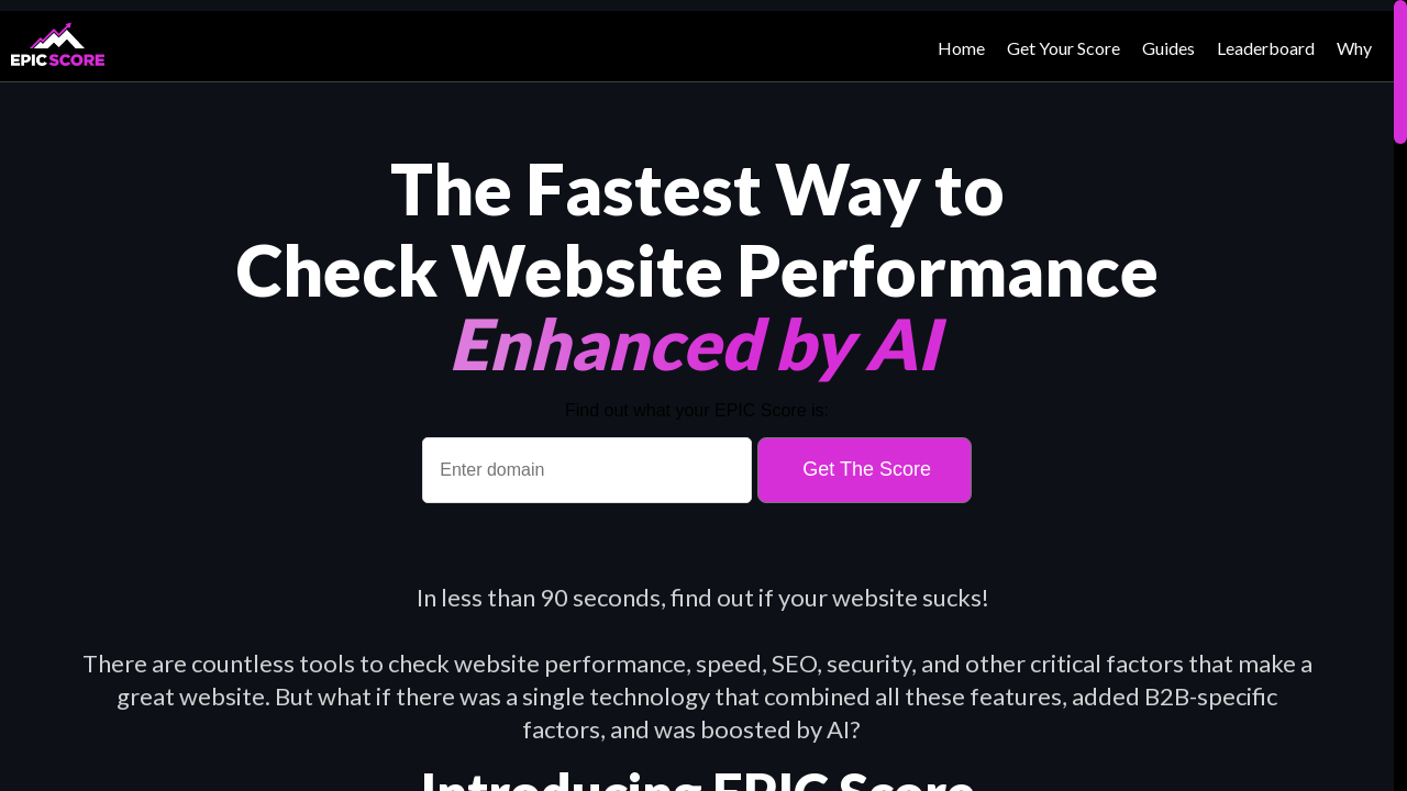 epicscore.ai desktop screenshot b2b webiste scoring