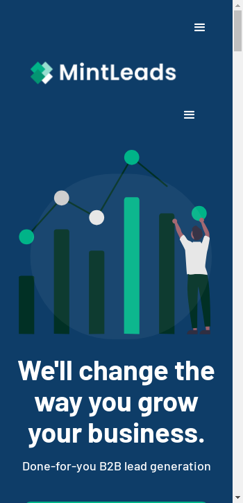 mintleads.io mobile screenshot b2b website scoring