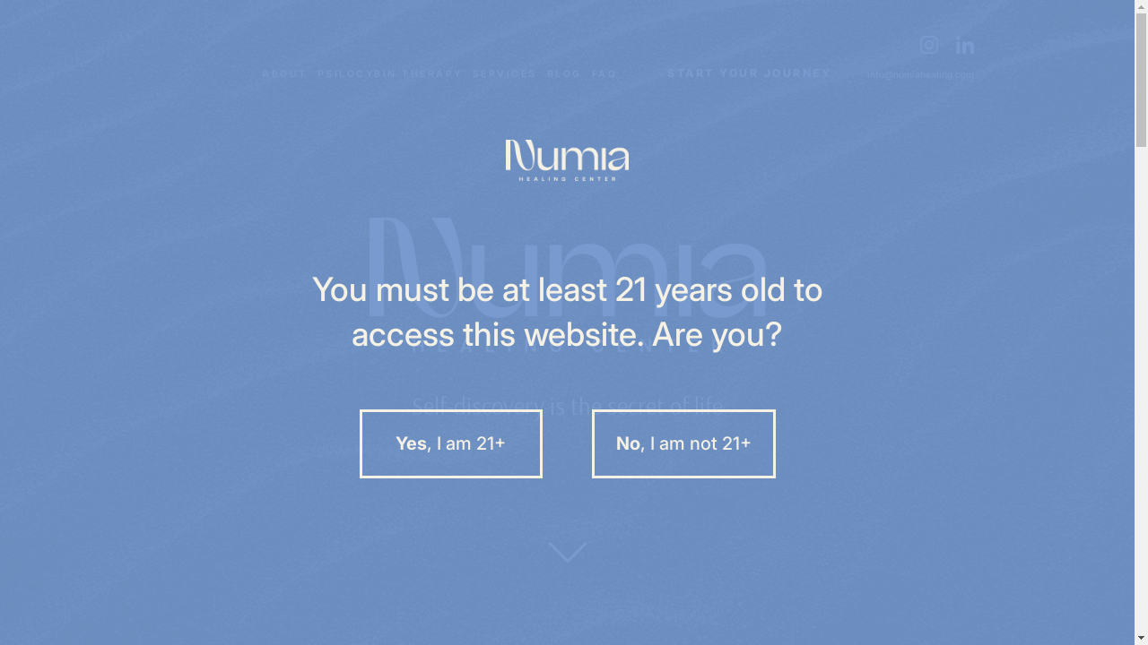numiahealing.com desktop screenshot b2b webiste scoring