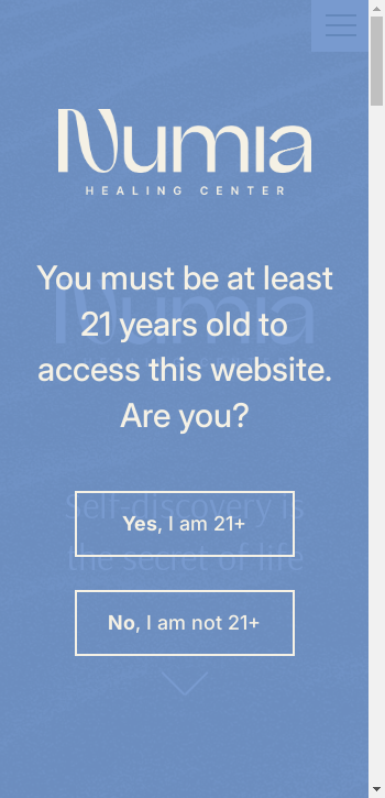 numiahealing.com mobile screenshot b2b website scoring