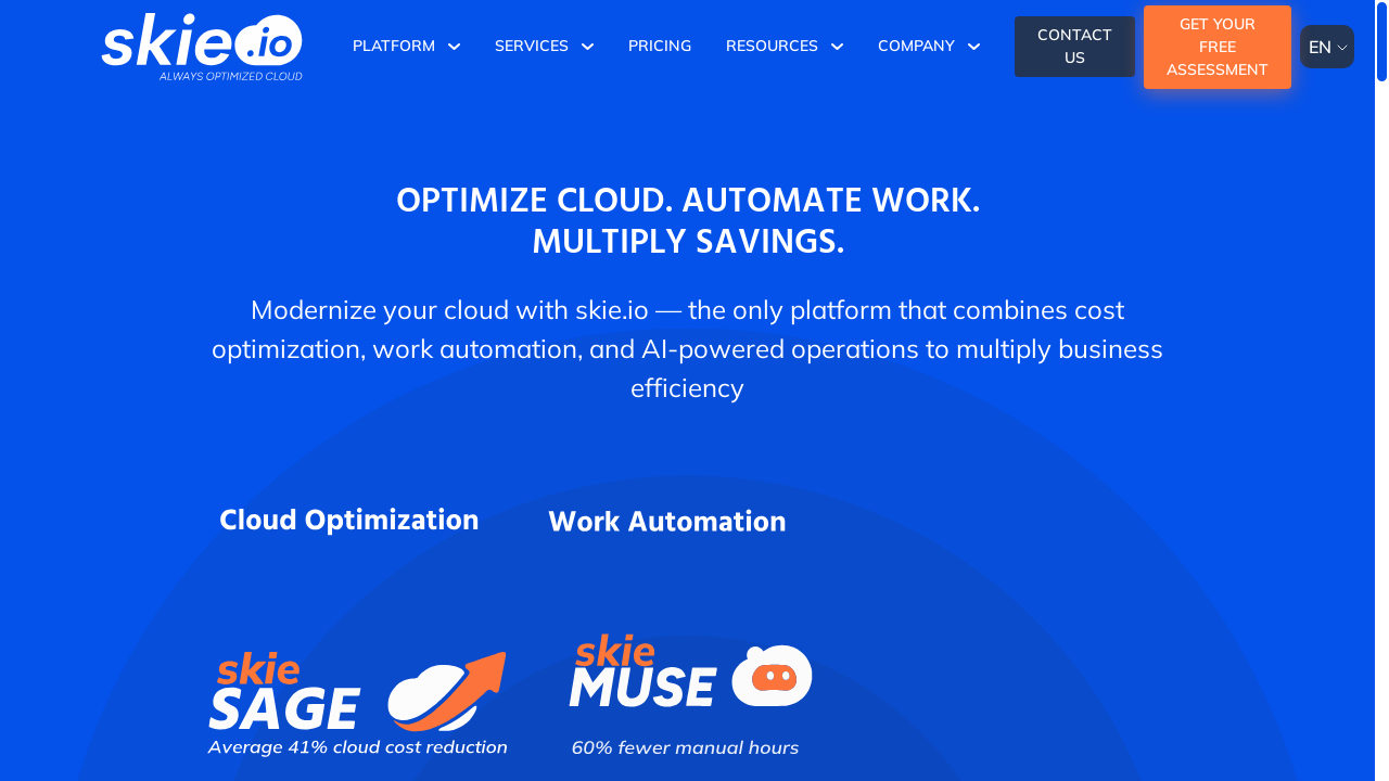 skie.io desktop screenshot b2b webiste scoring