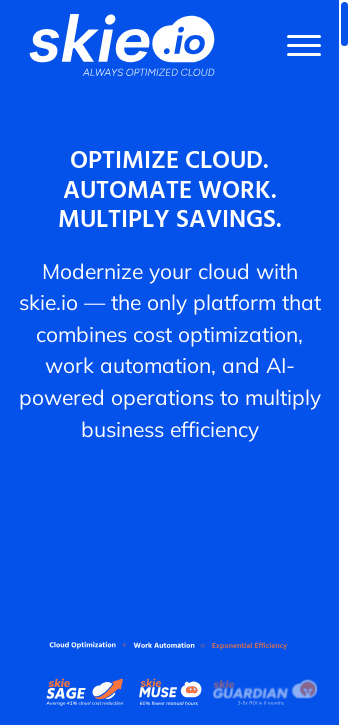 skie.io mobile screenshot b2b website scoring